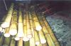 Click here to browse the Vivax Bamboo Poles category at www.thebigbamboocompany.com